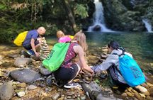 Transfer from Hue to Da Nang or Hoi An via Bach Ma National Park