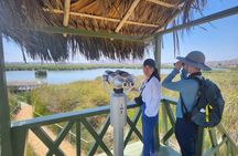 Birdwatching and Trekking in Lima city