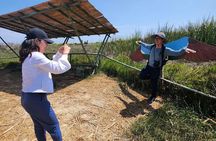 Birdwatching and Trekking in Lima city