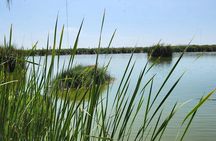 Birdwatching and Trekking in Lima city