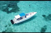 Nassau Harbor Boat Tour: Blue Lagoon, Pig Island, and More