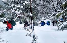 Private Snowshoe Hiking in Bariloche in Winter