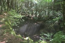 Exploring Mt Fuji Ice Cave and Sea of Trees Forest