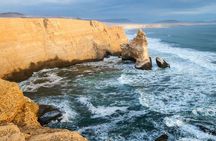 7 Days Tour to Ica, Ballestas Islands and Machupicchu in Lima 