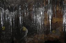 Exploring Mt Fuji Ice Cave and Sea of Trees Forest