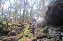 Exploring Mt Fuji Ice Cave and Sea of Trees Forest