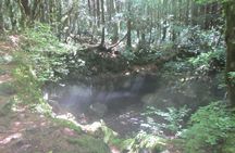 Exploring Mt Fuji Ice Cave and Sea of Trees Forest