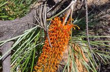 Berry Springs + Crocodile Cruise + Crocodlylus Wildlife Park