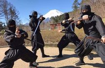 Best Mt Fuji and Hakone Full-Day Bus Tour from Tokyo