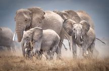 2 Days safari Tsavo East 