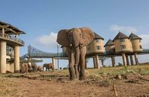 3 Days Private Safari Tour in Tsavo East Taita Hills 