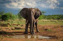 3 Days Private Safari Tour in Tsavo East Taita Hills 