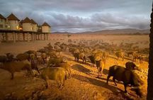 3-Day Tsavo East Safari Private Tour from Malindi