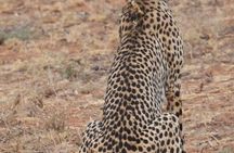 3 Day Private Guided Tour Safari Tsavo East and West in Malindi
