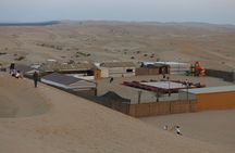 Safari Half-Day Adventure from Abu Dhabi