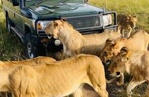 6 Days Kenya Budget Group Safari