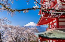 Mount Fuji Five Lakes Tour from Tokyo with Guide & Vehicle