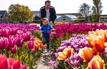 Tulip Experience and Keukenhof Flower Gardens Tour from Amsterdam