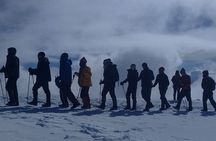 Private Full Day Tour to Kilimanjaro National Park