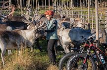 Electric Fatbike Trip to the Reindeer Farm