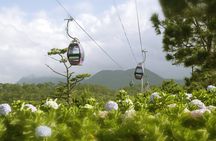 VIP Private Tour in Dalat City and Waterfall