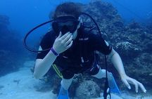 Scuba Diving and shopping on the Hipstrip.