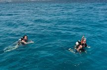 Scuba Diving and shopping on the Hipstrip.
