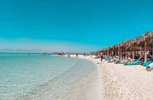 Orange Bay Island By Private Speedboat & Snorkeling & Water Sport - Hurghada