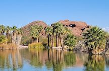 Yoga Session At Papago Park