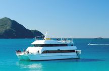 Port Stephens Experience: Incredible Adventure, Wild by Nature