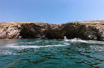 Ballestas Islands Tour from Puerto San Martin Cruise