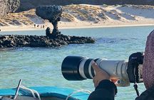 Small Group Sea Lions & Paddleboard tour - Balandra Beach
