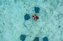 Bora Bora adventure Private Combo Jet Ski and Eco Sharks Snorkel 