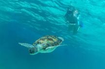 Half Day Luxury Sailing Experience in Riviera Maya with Open Bar
