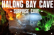Private tour Halong Bay 1 Day Cruise with Cave, Kayaking