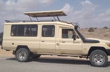 3 Days safari Amboseli & Tsavo West