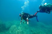 "Baptism of the Sea: Diving on the Island of Elba"