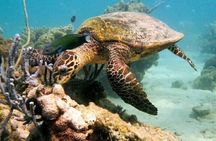 Guided tour of the Nosy Komba and Nosy Tanikely Islands