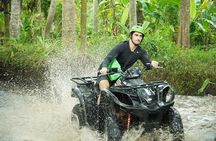 Ubud ATV Adventure & Sangeh Monkey Forest Tour