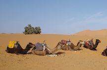 3-Day Sahara Desert Tour: Marrakech to Merzouga