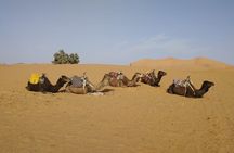 3-Day Sahara Desert Tour: Marrakech to Merzouga