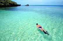 Eco Park and Beach Tour in Roatan