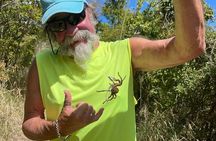 Honeymoon Beach Eco Hike and Snorkel