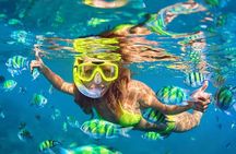 Snorkeling Combo 3 x 1 Lagoon Cenote Reef with Tulum Temples