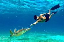 4 Hour Snorkeling Tour in Cozumel