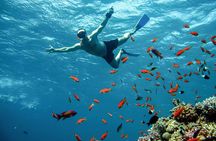 4-Hours Private Speedboat to Orange Island & Snorkeling Hurghada