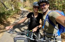 Half Day Bike Tour