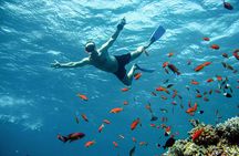 Diving and Visiting Giftun island with Snorkeling Boat Trip