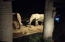 3 Days Safari Amboseli Taita Hills Saltlick Lodge