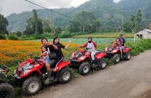 Mount Batur ATV Quad Bike with Natural Hot Spring and Lunch